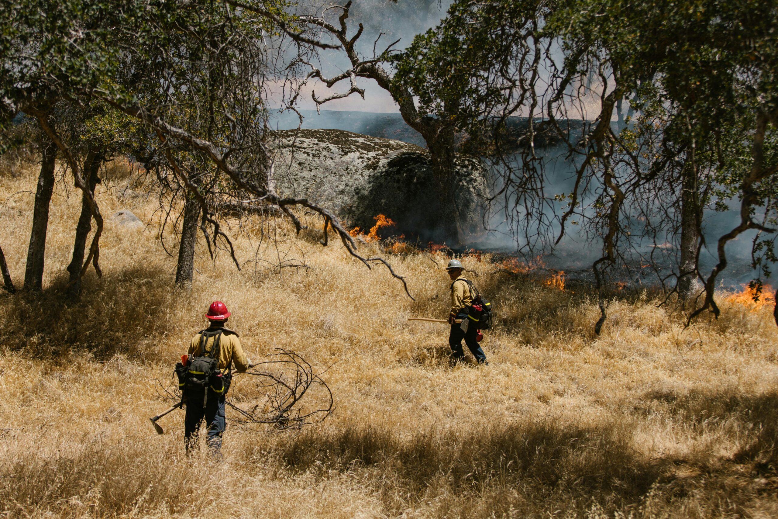 Home Brave firefighters controlling a wildfire in a dry Californian landscape.